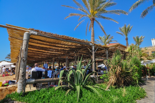 Edde Sands on Sunday